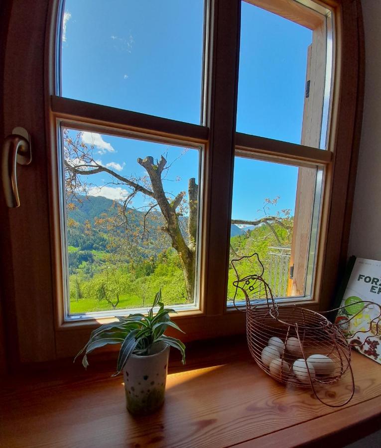 B&B Chalet Dolomiti Sant'Orsola المظهر الخارجي الصورة