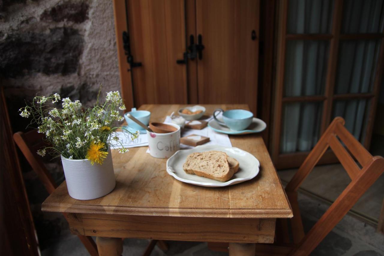B&B Chalet Dolomiti Sant'Orsola المظهر الخارجي الصورة