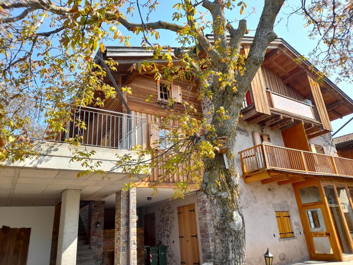 B&B Chalet Dolomiti Sant'Orsola المظهر الخارجي الصورة