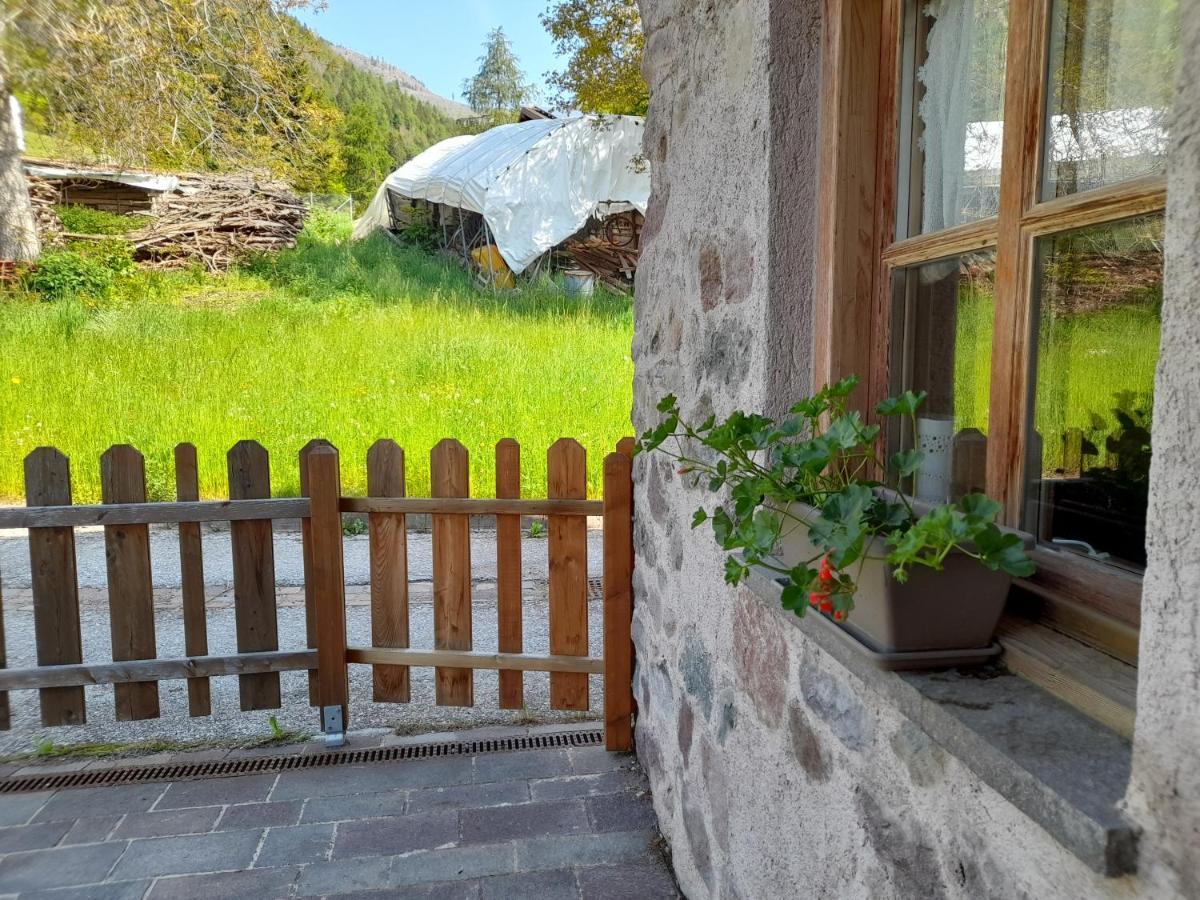 B&B Chalet Dolomiti Sant'Orsola المظهر الخارجي الصورة