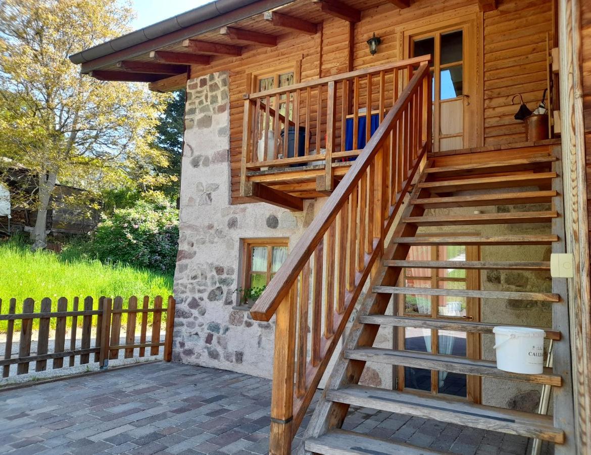 B&B Chalet Dolomiti Sant'Orsola المظهر الخارجي الصورة