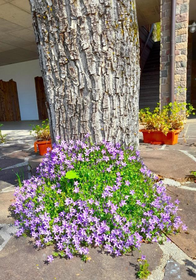 B&B Chalet Dolomiti Sant'Orsola المظهر الخارجي الصورة