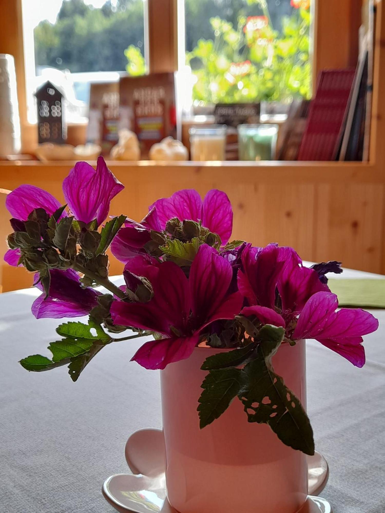 B&B Chalet Dolomiti Sant'Orsola المظهر الخارجي الصورة